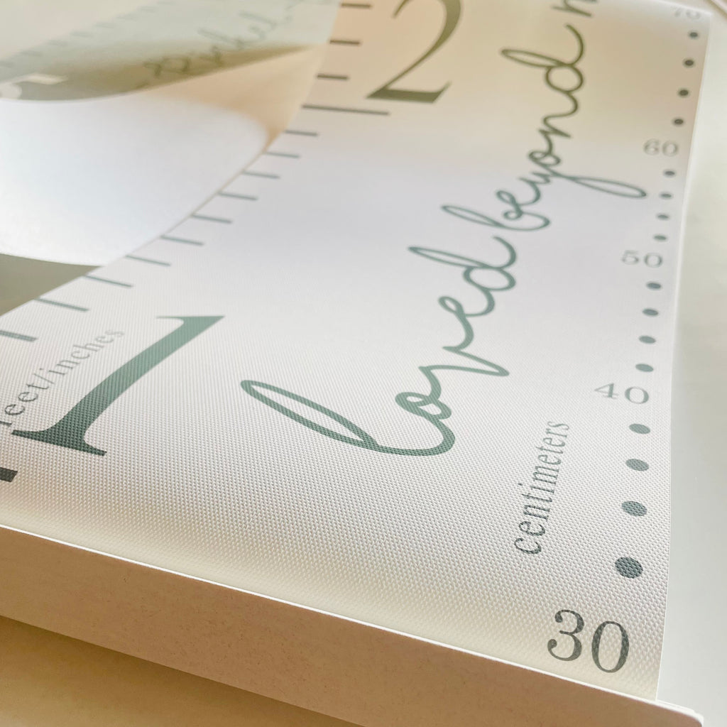 Personalised 6ft Scallop Loved Beyond Measure Canvas Height Chart